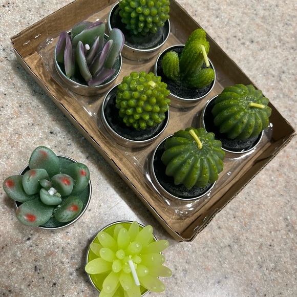 Miniature Candles 🌵 Set of 7 Miniature Succulent Candles - Picture 3 of 5